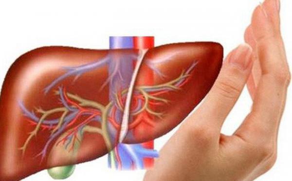 Ghi nhớ nguyên tắc 4 không khi ăn uống để ngăn ngừa bệnh gan - 0 Ghi nhớ nguyên tắc 4 không khi ăn uống để ngăn ngừa bệnh gan - 0