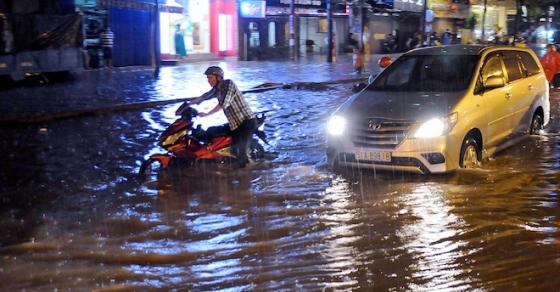 42 2 Thu Gia Va Tu Nuoc Chua Can Su Trong Sang Cua Ngon Ngu Chi Can Su Trong Sang Cua Tu Duy