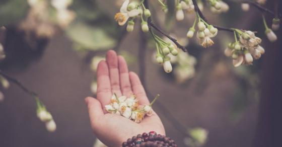 42 4 18 Triet Ly Nhan Sinh Giup Ban Tro Thanh Nguoi Hanh Phuc