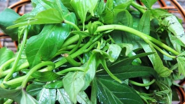 Đẩy lùi tiểu đường, cảm sốt mùa nóng nhờ rau lang - 0 Đẩy lùi tiểu đường, cảm sốt mùa nóng nhờ rau lang - 0