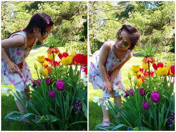 “Chốn thiên đường” 500m² giữa nước Đức của mẹ Việt có ông chồng tâm lý giúp chặt cây, xây vườn - 3