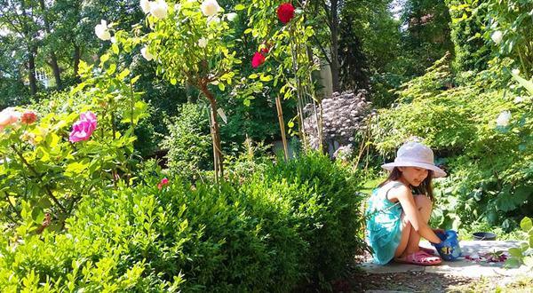 “Chốn thiên đường” 500m² giữa nước Đức của mẹ Việt có ông chồng tâm lý giúp chặt cây, xây vườn - 1