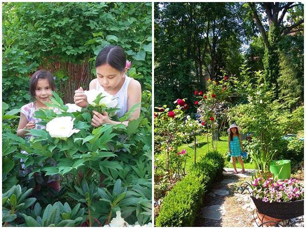 “Chốn thiên đường” 500m² giữa nước Đức của mẹ Việt có ông chồng tâm lý giúp chặt cây, xây vườn - 4