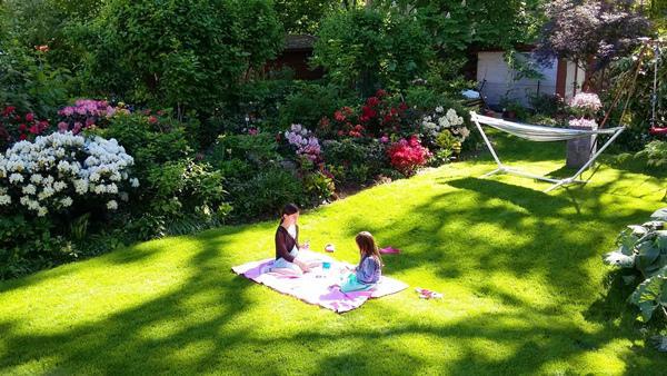 “Chốn thiên đường” 500m² giữa nước Đức của mẹ Việt có ông chồng tâm lý giúp chặt cây, xây vườn - 2