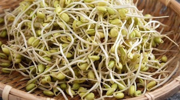 Giá đỗ tương rất tốt, nhưng 4 nhóm người sau đây tuyệt đối không nên ăn - 0 Giá đỗ tương rất tốt, nhưng 4 nhóm người sau đây tuyệt đối không nên ăn - 0