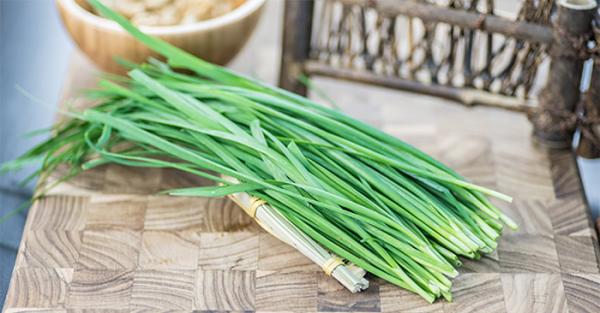 Rau hẹ – kháng sinh tự nhiên chống khuẩn, trị ho cho cả nhà - 0 Rau hẹ – kháng sinh tự nhiên chống khuẩn, trị ho cho cả nhà - 0
