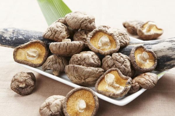 9 loại thực phẩm giúp tăng cường hệ miễn dịch cho cơ thể - 4 9 loại thực phẩm giúp tăng cường hệ miễn dịch cho cơ thể - 4