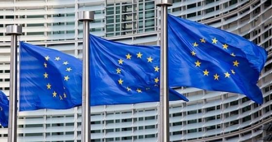 42 1 Hoi Nghi Khan Eu Ve Nhap Cu Chia Re Va Bat Dong Tu Y Thuc Chinh Tri