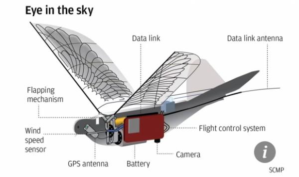 Trung Quốc phát triển robot bồ câu giám sát trên khắp bầu trời - 1