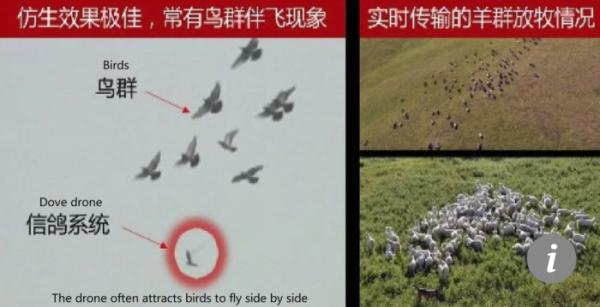 Trung Quốc phát triển robot bồ câu giám sát trên khắp bầu trời - 2