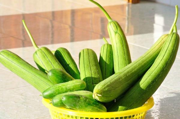 Mướp hương: Vị thuốc dân dã hỗ trợ điều trị tiểu đường hiệu quả - 1 Mướp hương: Vị thuốc dân dã hỗ trợ điều trị tiểu đường hiệu quả - 1