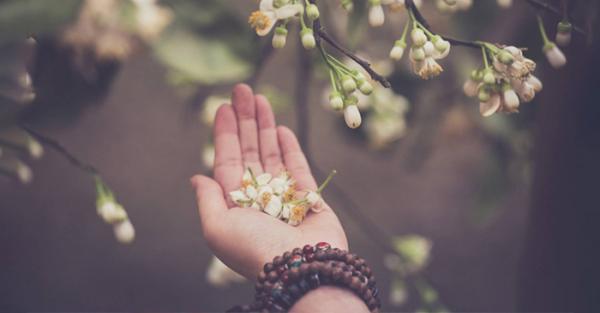 5 câu chuyện nhỏ thay đổi cả kiếp nhân sinh, nhất định phải đọc một lần - 0