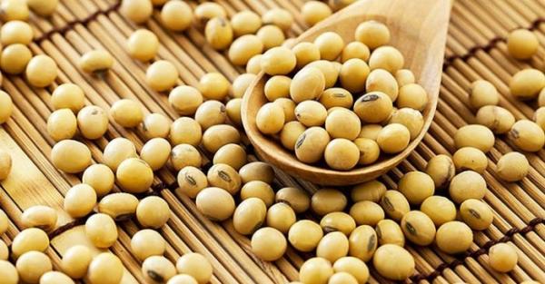 Đầu óc minh mẫn, đẩy lùi ung thư nhờ đậu nành - 0 Đầu óc minh mẫn, đẩy lùi ung thư nhờ đậu nành - 0