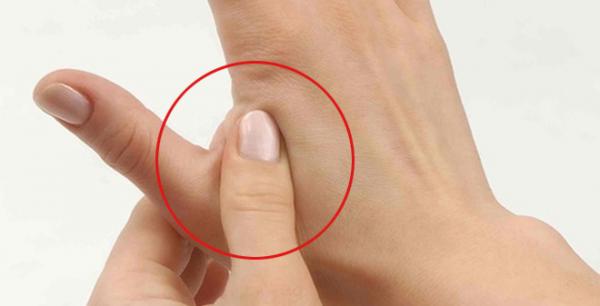 Thải độc cho ngũ tạng nhờ thực phẩm quen thuộc cùng với 1 động tác đơn giản - 0 Thải độc cho ngũ tạng nhờ thực phẩm quen thuộc cùng với 1 động tác đơn giản - 0