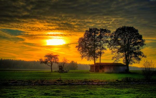 Người ôm giữ cố chấp cả đời cũng chẳng thể thành tựu được chi - 1 Người ôm giữ cố chấp cả đời cũng chẳng thể thành tựu được chi - 1