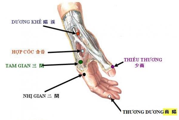 Bạn cần nhớ kỹ 9 huyệt vị sinh tử là chìa khóa có thể cứu mạng khi bạn gặp nguy nan - 9 Bạn cần nhớ kỹ 9 huyệt vị sinh tử là chìa khóa có thể cứu mạng khi bạn gặp nguy nan - 9