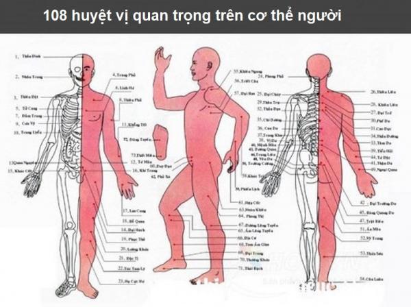 Bạn cần nhớ kỹ 9 huyệt vị sinh tử là chìa khóa có thể cứu mạng khi bạn gặp nguy nan - 1 Bạn cần nhớ kỹ 9 huyệt vị sinh tử là chìa khóa có thể cứu mạng khi bạn gặp nguy nan - 1