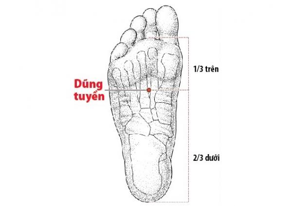 Bạn cần nhớ kỹ 9 huyệt vị sinh tử là chìa khóa có thể cứu mạng khi bạn gặp nguy nan - 11 Bạn cần nhớ kỹ 9 huyệt vị sinh tử là chìa khóa có thể cứu mạng khi bạn gặp nguy nan - 11
