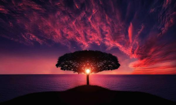 Là đàn ông đích thực chắc chắn sẽ không phạm phải 2 điều tối kỵ này… - 2 Là đàn ông đích thực chắc chắn sẽ không phạm phải 2 điều tối kỵ này… - 2