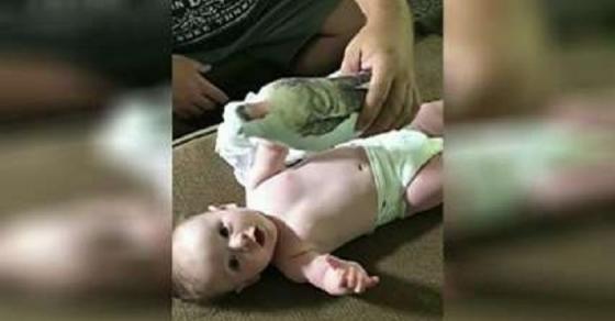 42 1 Phan Ung Dang Yeu Cua Be Khi Nghe Tieng Cha Phat Ra Tu Bup Be