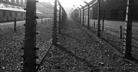 42 1 Truyen Hinh Duc Bi Kien Su Dung Cum Tu Trai Tu Than Ba Lan