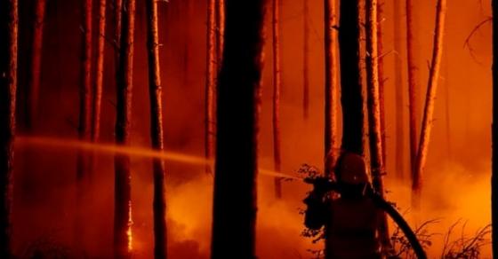 Cháy rừng ở Đức tại khu vực còn sót bom đạn thời chiến tranh 42 1 Chay Rung O Duc Tai Khu Vuc Con Sot Bom Dan Thoi Chien Tranh