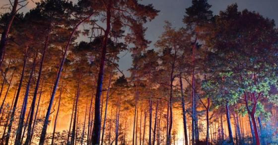 42 1 Duc Chay Rung Gan Berlin Hon 600 Nguoi So Tan Khan Cap