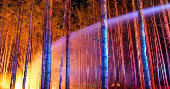 42 2 Duc Chay Rung Gan Berlin Hon 600 Nguoi So Tan Khan Cap