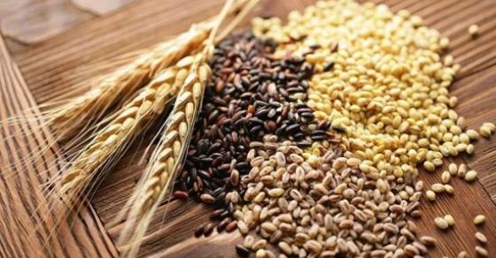 42 2 Vu Lan Mua Chay Tinh Dong Y Nhin Nhan Ve An Chay Nhu The Nao