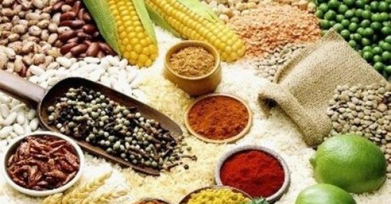 42 5 Vu Lan Mua Chay Tinh Dong Y Nhin Nhan Ve An Chay Nhu The Nao