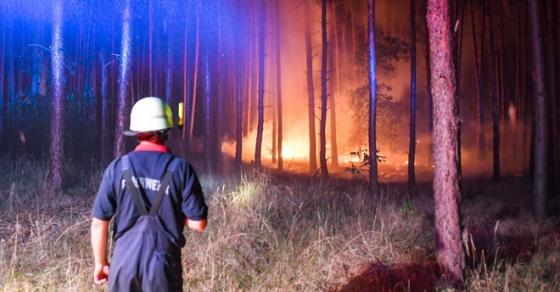 42 2 Chay Rung Gan Berlin Lam Phat No Bom Dan Sot Lai Sau The Chien