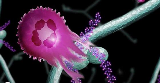 Tin vui: Cách thử máu mới có thể tìm ra 8 loại ung thư thường thấy