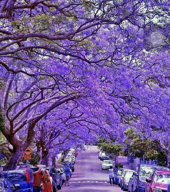 42 2 25 Con Duong Di Mot Lan Van Muon Quay Tro Lai  Thien Duong La Day 