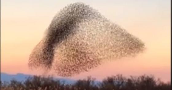 42 4 Ai Cung To Mo Nhin Dam Den Di Chuyen Tren Troi Xem Ky Moi Biet Thien Nhien Qua That Thu Vi