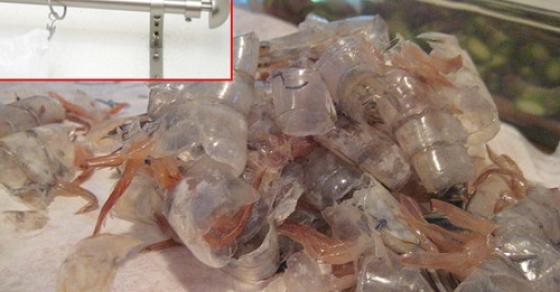 42 1 Chong Bo Theo Thu Ky Vo Nghi Ra Chieu Tra Thu Co Mot Khong Hai