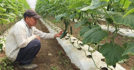 {title} 42 1 Nguoi Dan Ong Viet Cuu Mang Ca Dong Ho Tren Dat Uc