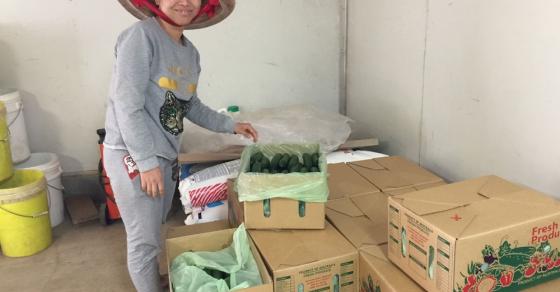 {title} 42 4 Nguoi Dan Ong Viet Cuu Mang Ca Dong Ho Tren Dat Uc