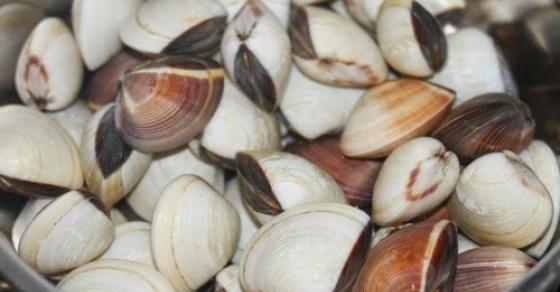 Chỉ 1 mẹo nhỏ để có cách chọn đồ tươi ngon và cách làm sạch bùn cát trong nghêu, sò, ốc, hến