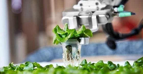 42 1 Nong Trai Dau Tien O My Hoan Toan Thay The Con Nguoi Bang Robot