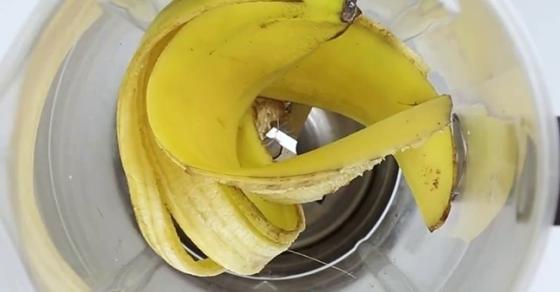 Mẹo cực hay giúp hoa, cây cảnh sắp chết héo cỡ nào cũng tươi tốt chỉ sau vài ngày