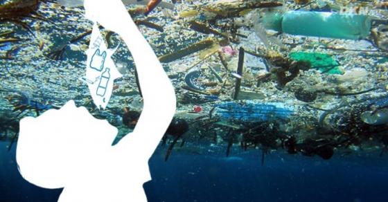 Gieo nhân nào gặt quả nấy: Tiện tay vứt rác nhưng thực ra chúng ta đang ăn rác thải nhựa mỗi ngày