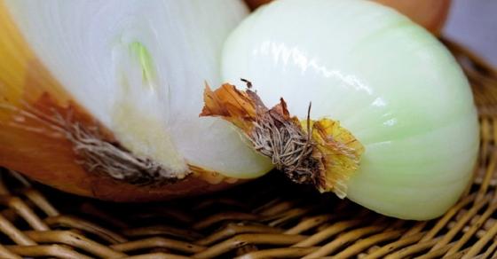 Mách bạn 19 mẹo vệ sinh mọi ngóc ngách trong nhà bếp sạch như lau như li