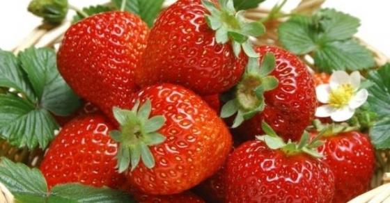 Mách bạn cách nhận biết dâu tây ngon và an toàn