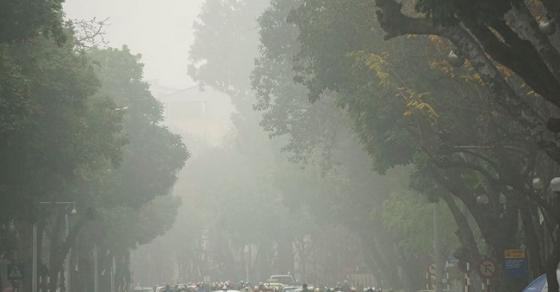 Sương mù là gì? Tại sao sương mù thường có vào mùa đông?