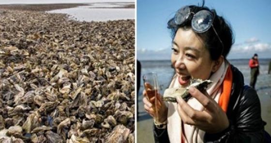 42 1 Dan Mach Dau Dau Vi Bi Hau Xam Lan Chinh Phu Nay Sang Kien Cho Nguoi Trung Quoc Den 5 Nam La An Sach