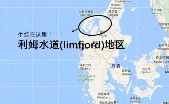 42 4 Dan Mach Dau Dau Vi Bi Hau Xam Lan Chinh Phu Nay Sang Kien Cho Nguoi Trung Quoc Den 5 Nam La An Sach