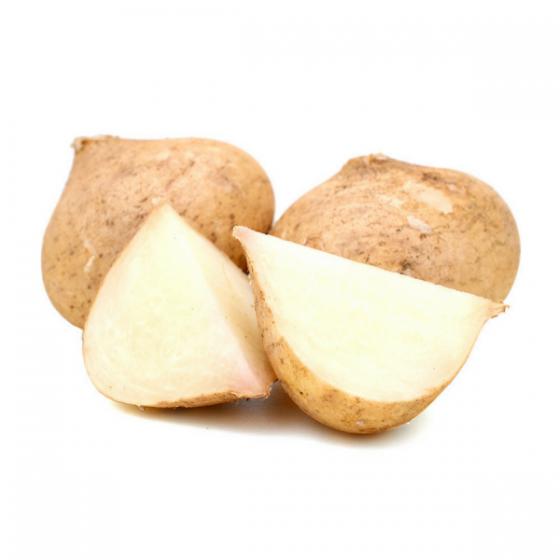 Lợi ích không ngờ của củ đậu – loại củ rất bình thường ở Việt Nam