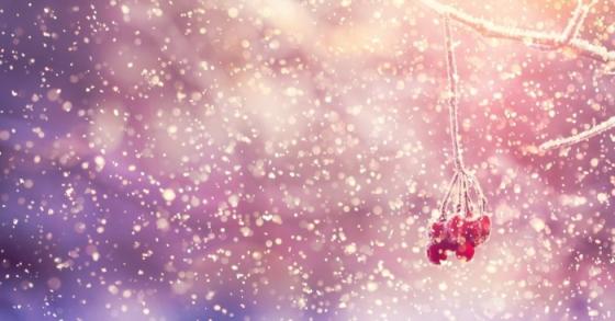 42 1 Cung Lang Nghe To Khuc Hanh Trinh Mua Dong Tuong Dai Vinh Cuu Cua Thanh Nhac Duc