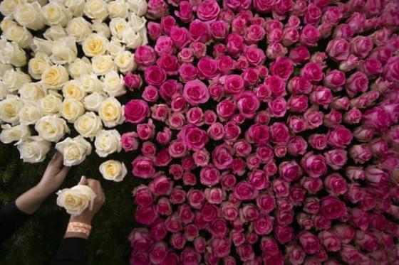 42 14 Thong Diep Nam Moi Ba Merkel Trach Tong Thong Trump