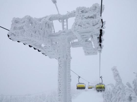 42 9 Bang Tuyet Nuot Chung Chau Au Cuoc Song Hang Trieu Nguoi Dan Dao Lon
